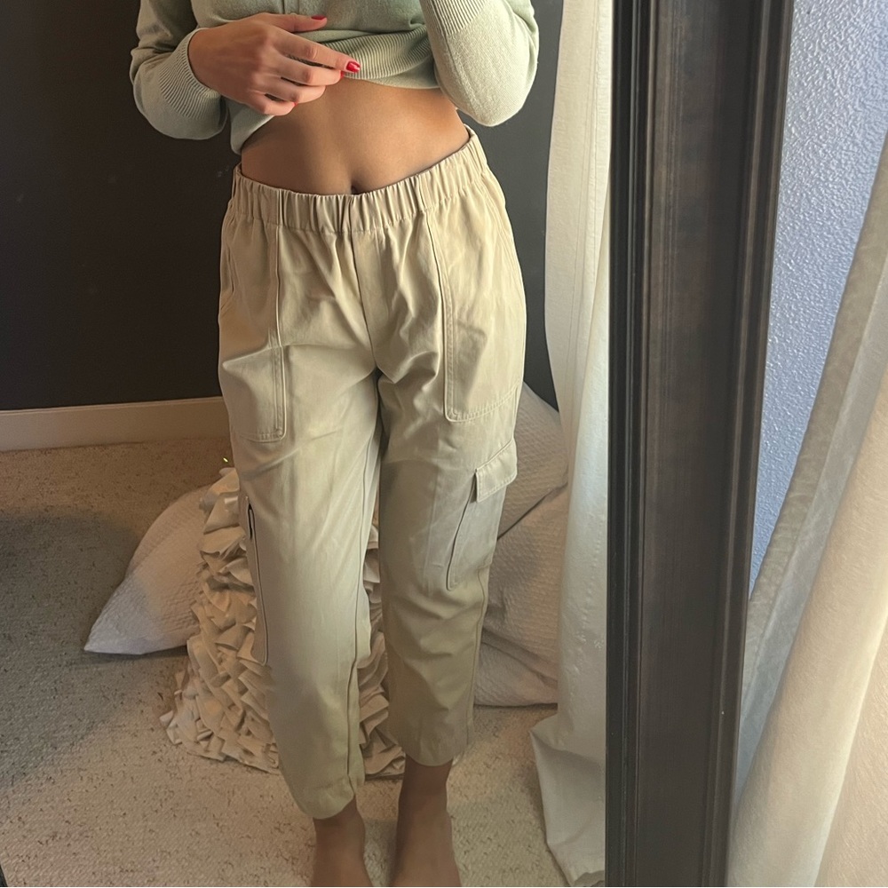 Babaton (Aritzia) joggers with cargo pockets